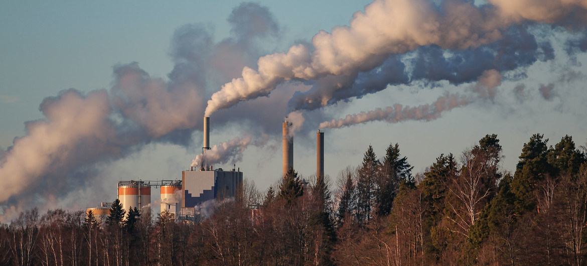 National governments are the main drivers of change to reduce harmful emissions.